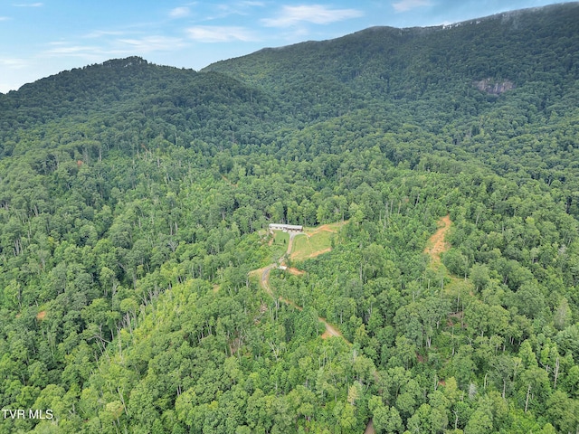 292 Old Railroad Grade Rd, Roan Mountain, TN 37687 - photo 67
