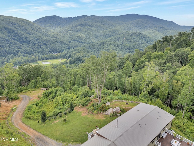 292 Old Railroad Grade Rd, Roan Mountain, TN 37687 - photo 3