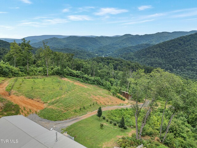 292 Old Railroad Grade Rd, Roan Mountain, TN 37687 - photo 69