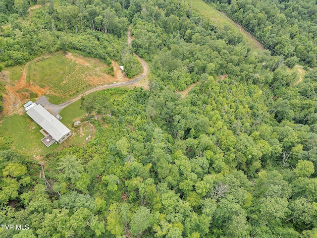 292 Old Railroad Grade Rd, Roan Mountain, TN 37687 - photo 70