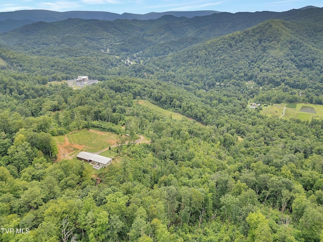 292 Old Railroad Grade Rd, Roan Mountain, TN 37687 - photo 71