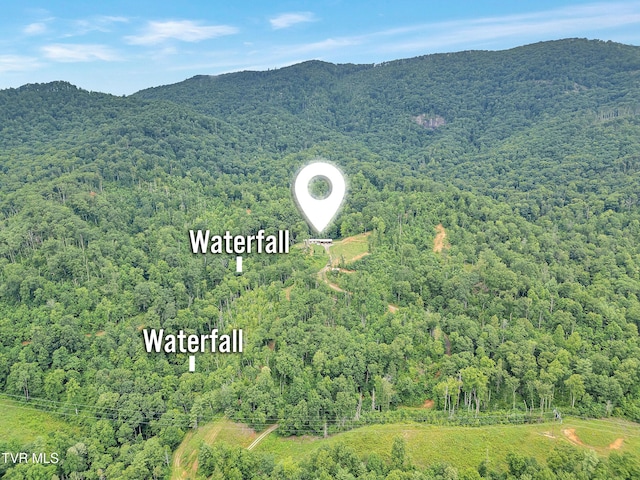 292 Old Railroad Grade Rd, Roan Mountain, TN 37687 - photo 6