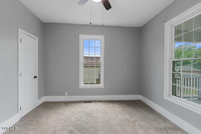 718 N Main St, Greeneville, TN 37745 - photo 10