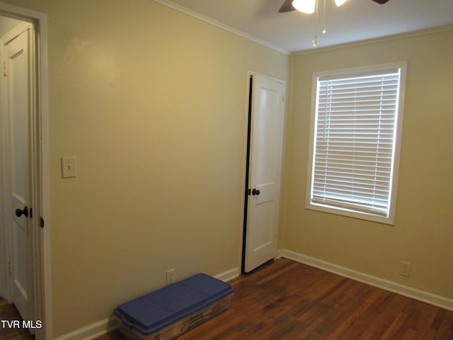 1557 Greenfield Ave, Kingsport, TN 37664 - photo 10