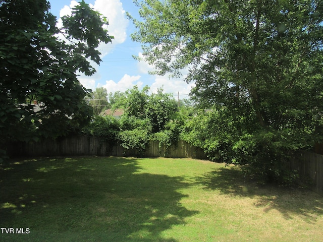 1557 Greenfield Ave, Kingsport, TN 37664 - photo 30