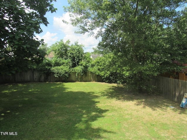 1557 Greenfield Ave, Kingsport, TN 37664 - photo 31
