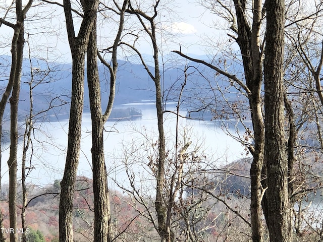 225 John Glover Rd, Hampton, TN 37658 - photo 2