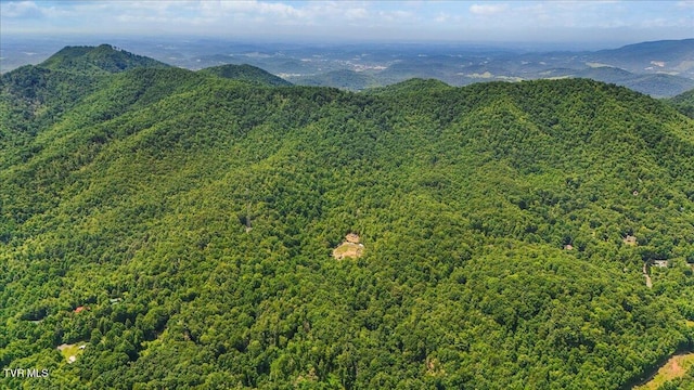 225 John Glover Rd, Hampton, TN 37658 - photo 10