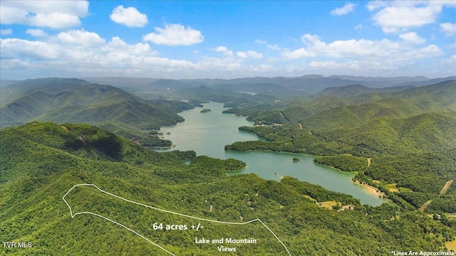 225 John Glover Rd, Hampton, TN 37658 - photo 13