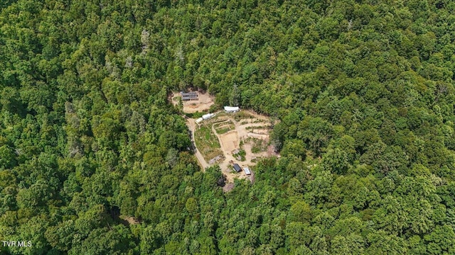 225 John Glover Rd, Hampton, TN 37658 - photo 15