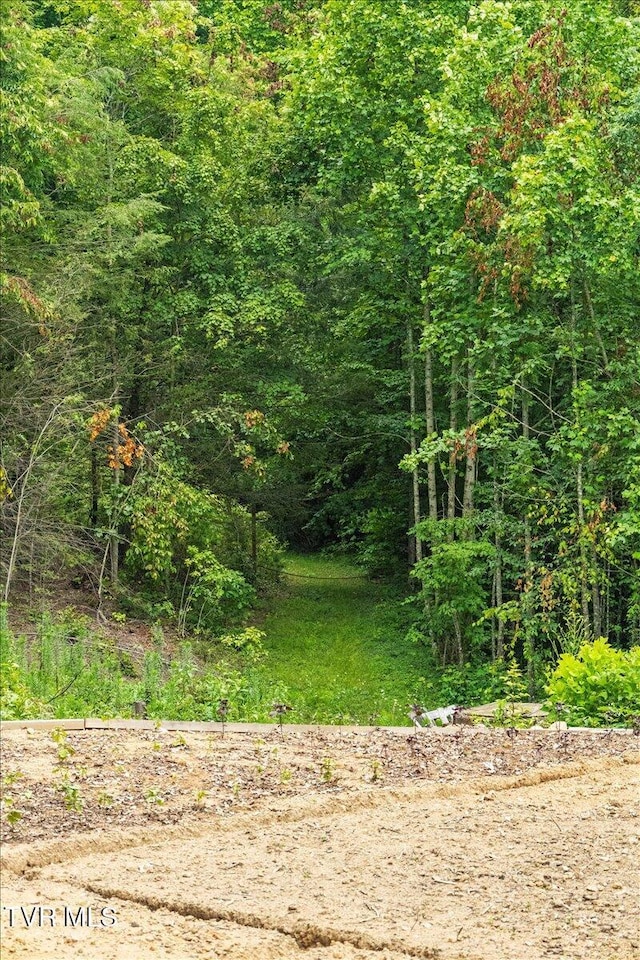 225 John Glover Rd, Hampton, TN 37658 - photo 39