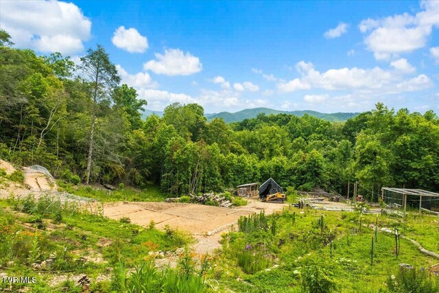225 John Glover Rd, Hampton, TN 37658 - photo 47