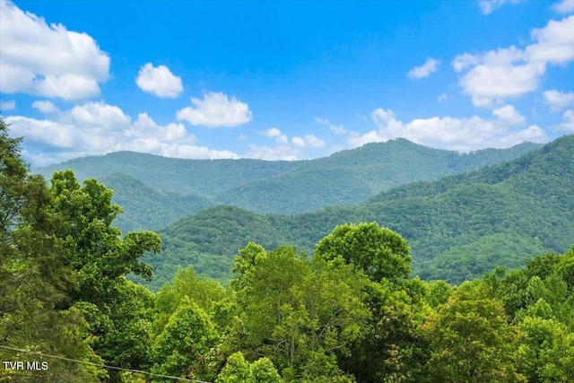 225 John Glover Rd, Hampton, TN 37658 - photo 49