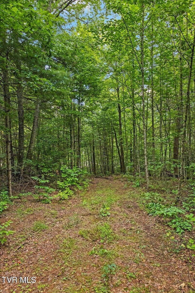 225 John Glover Rd, Hampton, TN 37658 - photo 59