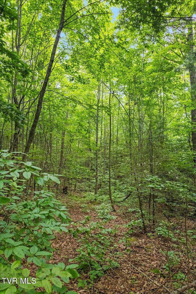 225 John Glover Rd, Hampton, TN 37658 - photo 63