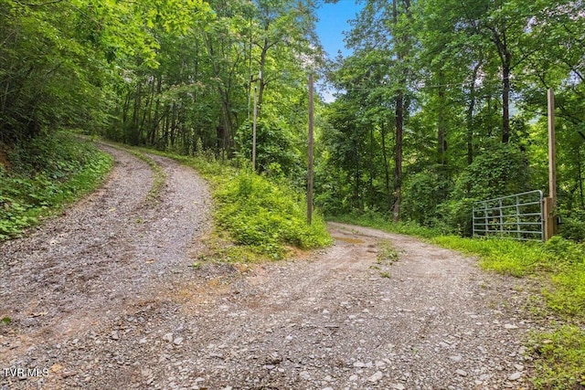 225 John Glover Rd, Hampton, TN 37658 - photo 67