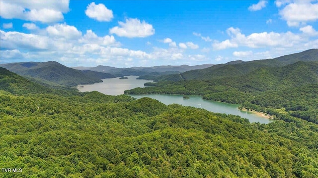 225 John Glover Rd, Hampton, TN 37658 - photo 68