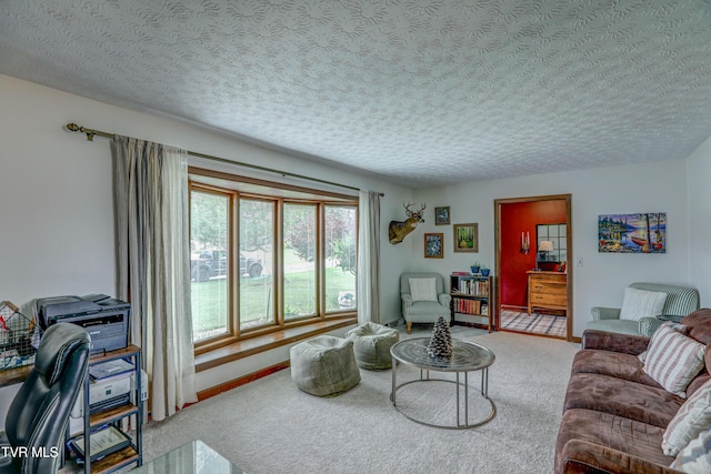 400 Heatherview Ct, Kingsport, TN 37663 - living area with carpet flooring and a textured ceiling