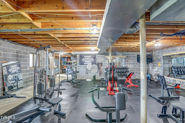 400 Heatherview Ct, Kingsport, TN 37663 - workout area with concrete block wall