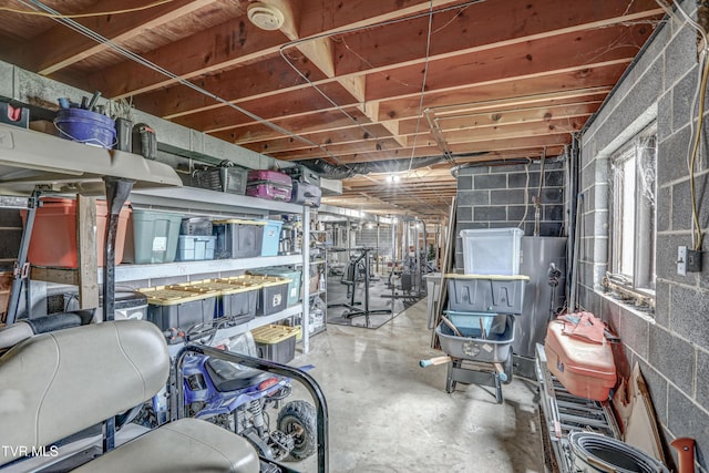 400 Heatherview Ct, Kingsport, TN 37663 - below grade area with concrete block wall