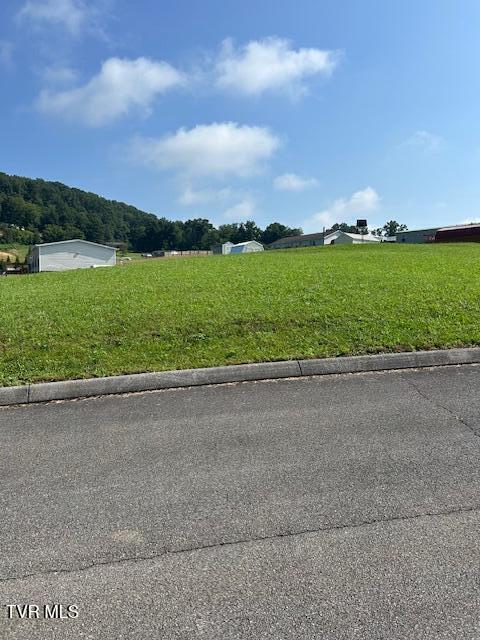 255 Rolling Hills Dr, Church Hill, TN 37642 - photo 19