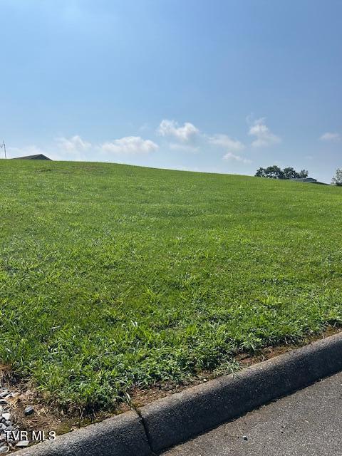 255 Rolling Hills Dr, Church Hill, TN 37642 - photo 21