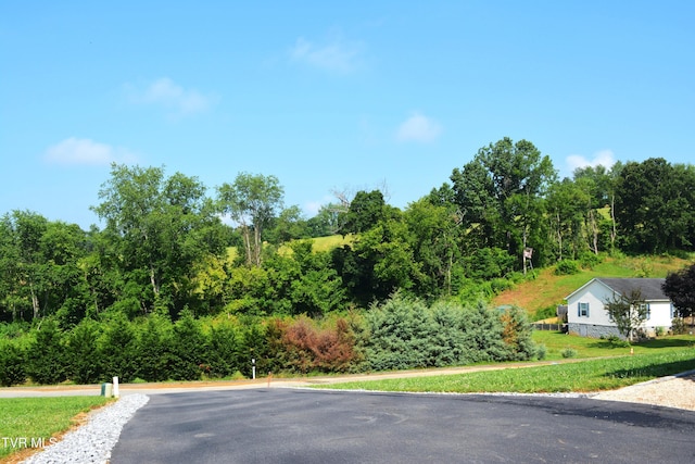 255 Rolling Hills Dr, Church Hill, TN 37642 - photo 2