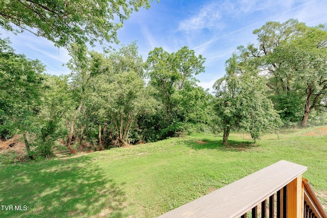 129 Ridgeway Ave, Church Hill, TN 37642 - photo 52