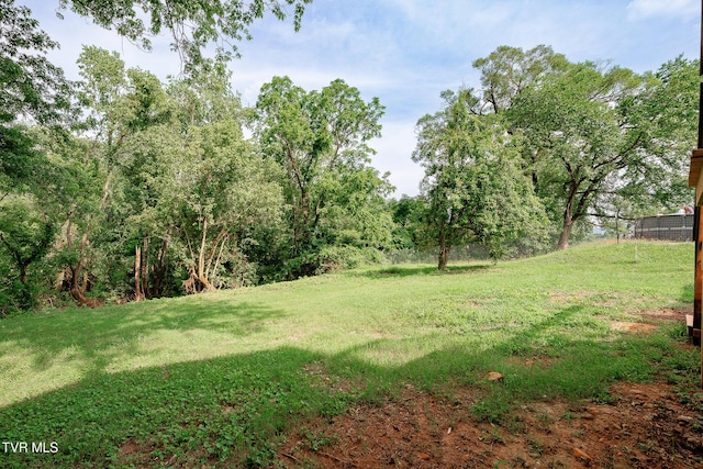 129 Ridgeway Ave, Church Hill, TN 37642 - photo 57