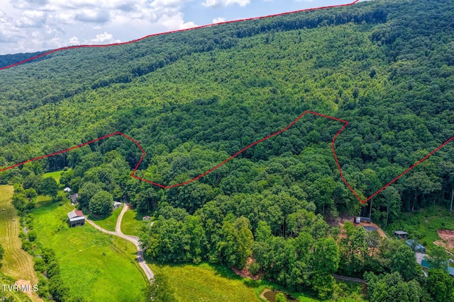 TBD Beech Creek Rd, Rogersville, TN 37857