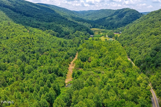 TBD Beech Creek Rd, Rogersville, TN 37857