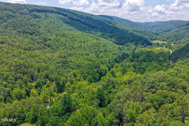 TBD Beech Creek Rd, Rogersville, TN 37857