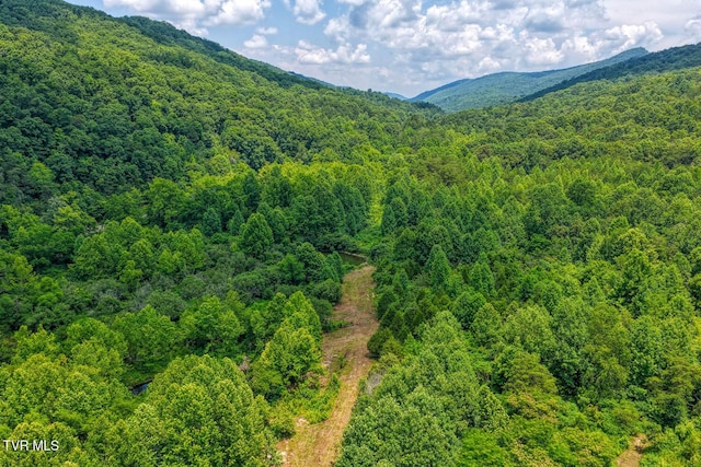 TBD Beech Creek Rd, Rogersville, TN 37857