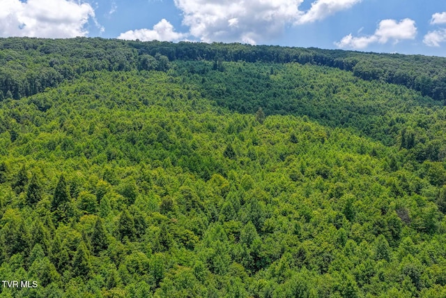 TBD Beech Creek Rd, Rogersville, TN 37857