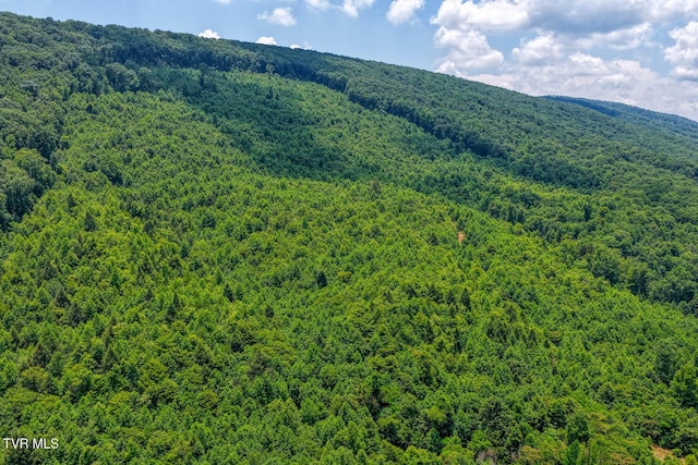 TBD Beech Creek Rd, Rogersville, TN 37857