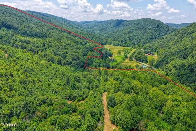 TBD Beech Creek Rd, Rogersville, TN 37857