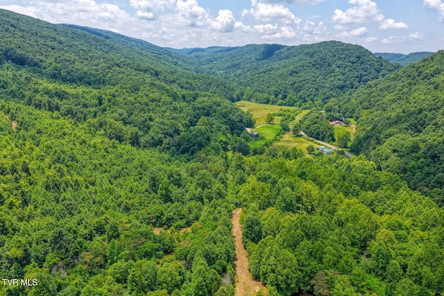 TBD Beech Creek Rd, Rogersville, TN 37857