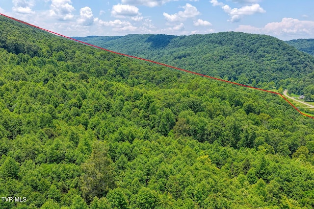 TBD Beech Creek Rd, Rogersville, TN 37857