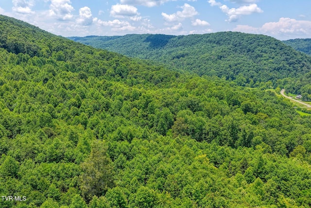 TBD Beech Creek Rd, Rogersville, TN 37857