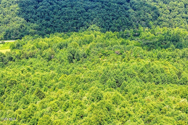 TBD Beech Creek Rd, Rogersville, TN 37857