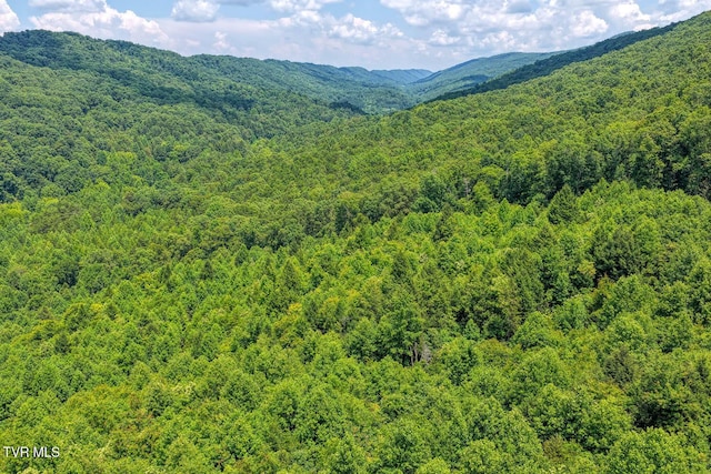 TBD Beech Creek Rd, Rogersville, TN 37857