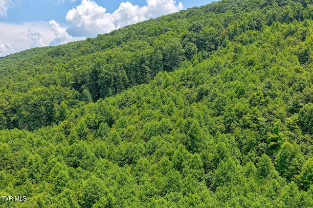 TBD Beech Creek Rd, Rogersville, TN 37857