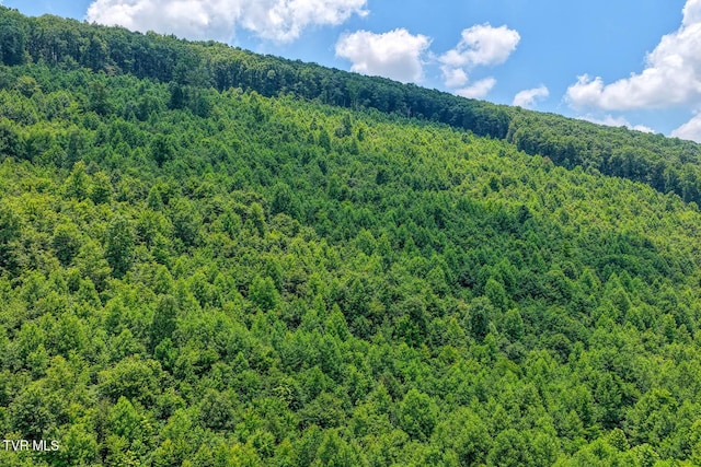 TBD Beech Creek Rd, Rogersville, TN 37857