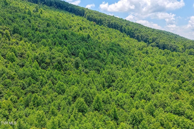 TBD Beech Creek Rd, Rogersville, TN 37857