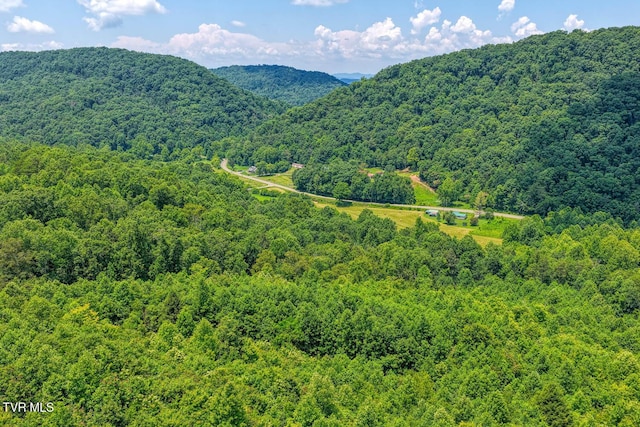 TBD Beech Creek Rd, Rogersville, TN 37857