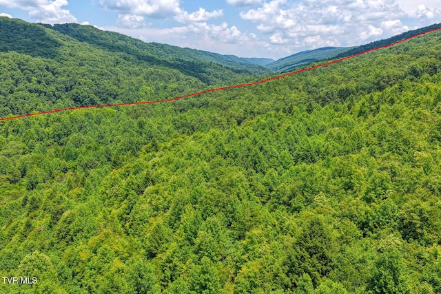 TBD Beech Creek Rd, Rogersville, TN 37857