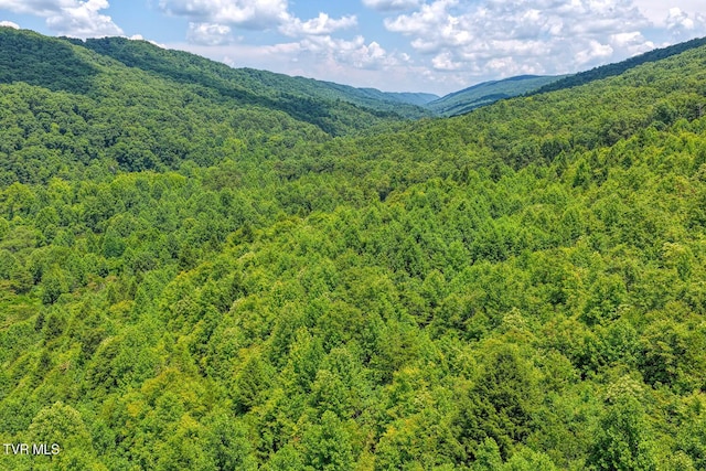 TBD Beech Creek Rd, Rogersville, TN 37857