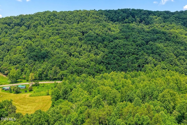 TBD Beech Creek Rd, Rogersville, TN 37857