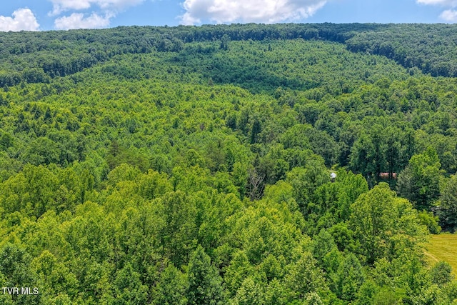 TBD Beech Creek Rd, Rogersville, TN 37857