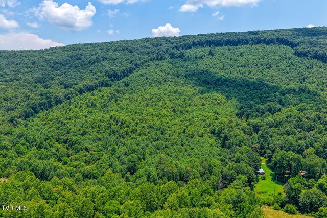 TBD Beech Creek Rd, Rogersville, TN 37857